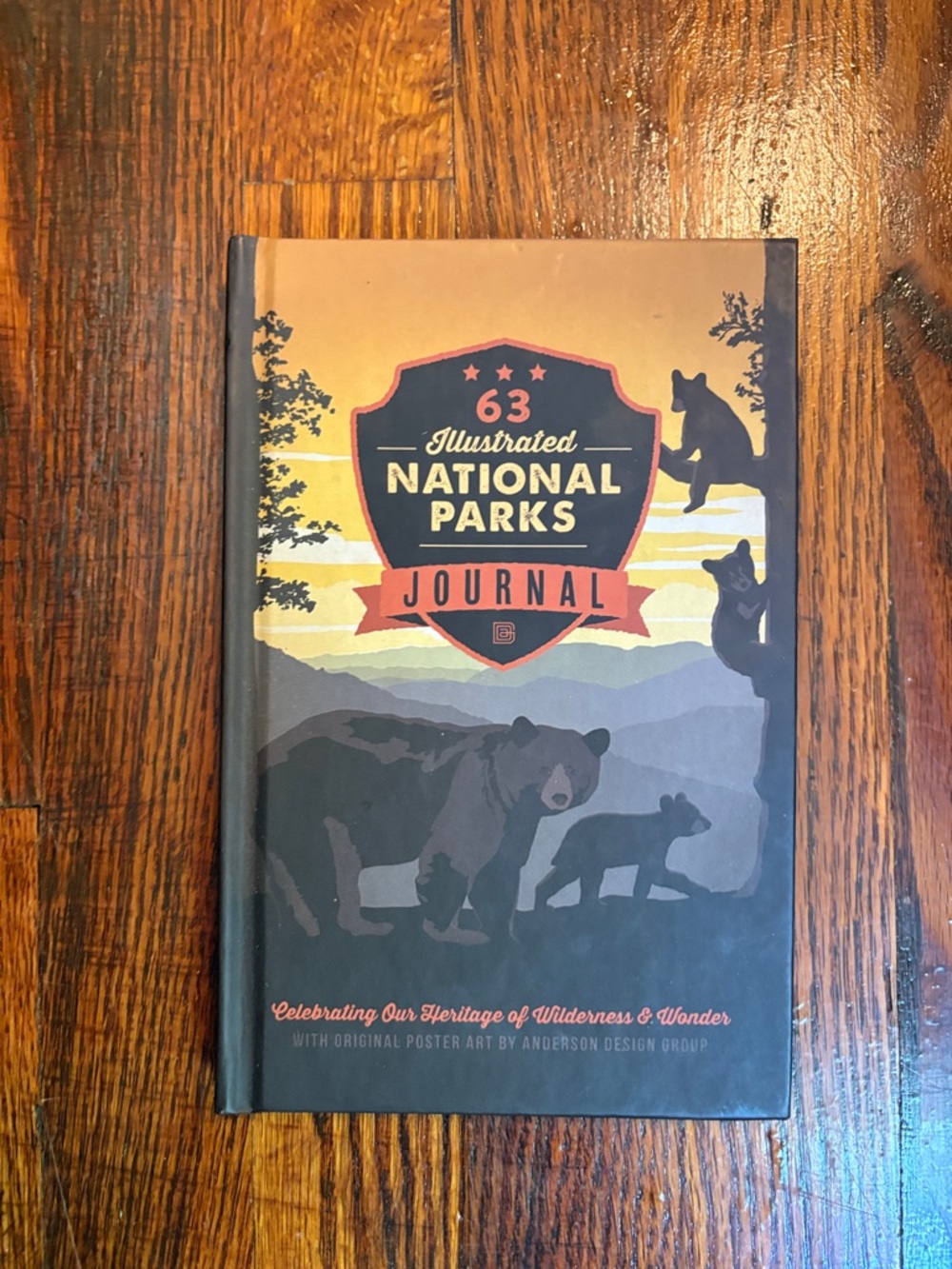 🎉New! illustrated National Park Journal!